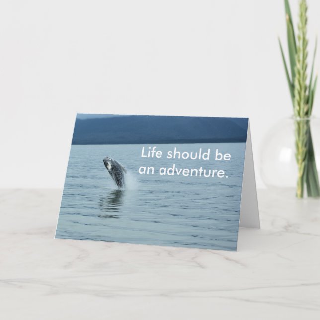 Greeting card - write your own note (Front)