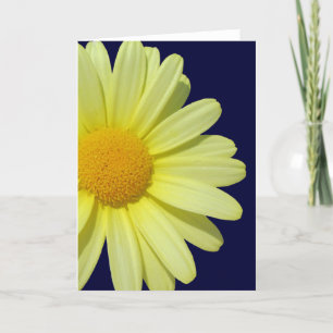 Greeting Card - Yellow Daisy on Midnight Sky
