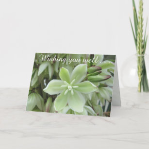 Greeting Card - Yucca Flower