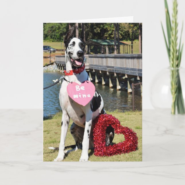 Greeting Cards by Dozer the Therapy Dog (Front)