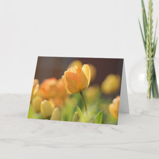 Greeting Cards - Spring Yellow Floral (Front)