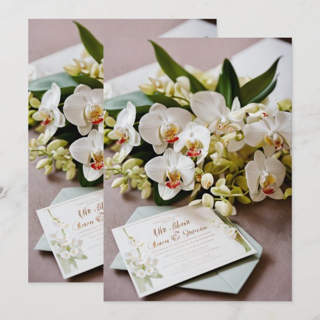 Greeting Cards > Thank You Cards (Front/Back)