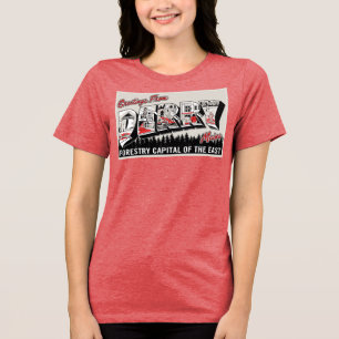 Greeting From Derry Maine Tri-Blend Shirt