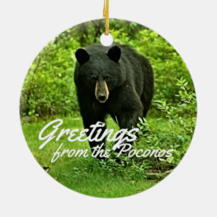 Greeting from the Poconos Backyard Black Bear Ceramic Tree Decoration