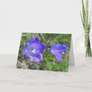 Greeting map blue pair of bellflowers, in blank card