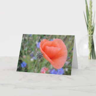Greeting map poppy flower heart, shapable in blank card