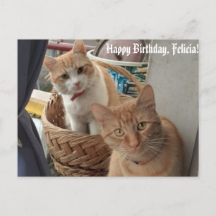 greetings birthday flat card