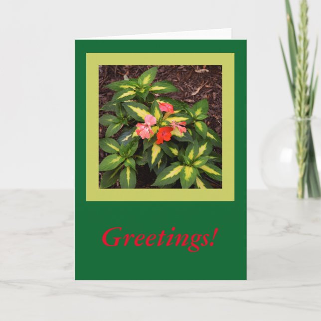 Greetings! Blank inside, card (Front)