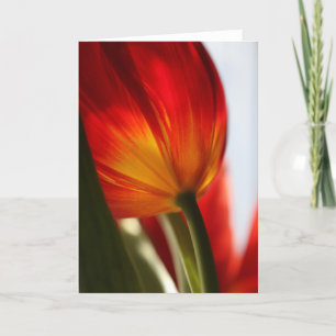 Greetings Card