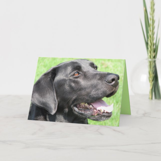 Greetings Card (Front)