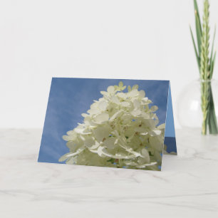 Greetings Card
