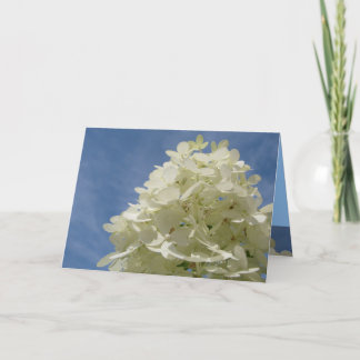 Greetings Card