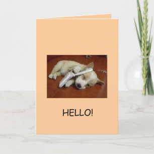 Greetings! Card