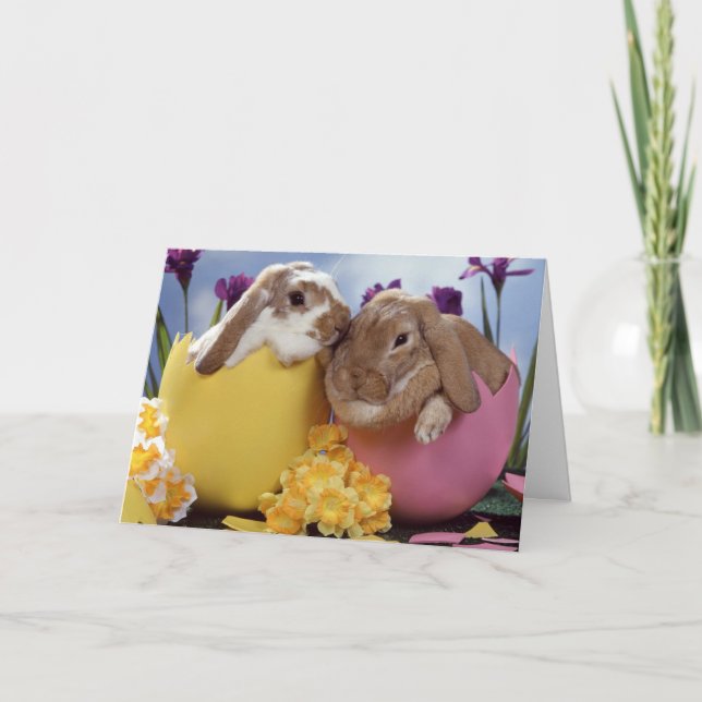 Greetings Card - Easter Bunny's (Front)