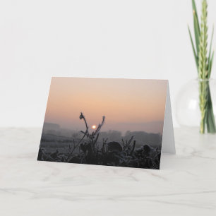 Greetings Card/Frosted Field near Denholm, Hawick Card