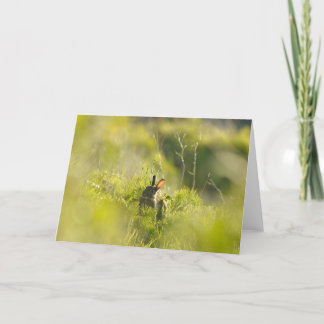 Greetings Card - Rabbit 3