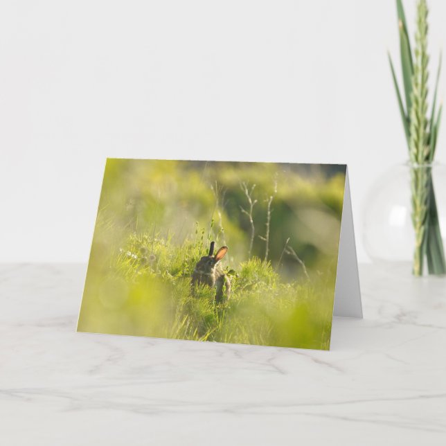 Greetings Card - Rabbit 3 (Front)