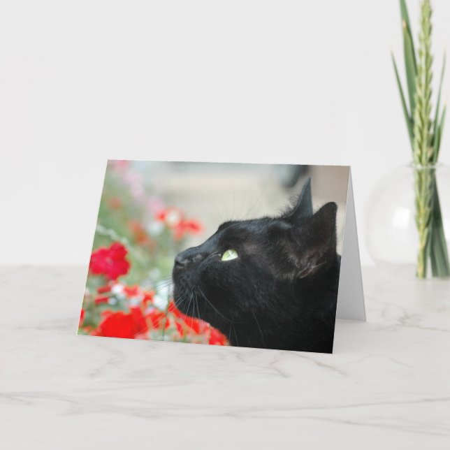 Greetings Card - Watching (Front)