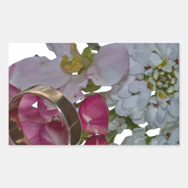 Greetings -Cheers Rectangular Sticker (Front)