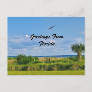 Greetings, Florida, Postcard