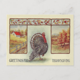 Greetings For Thanksgiving Holiday Postcard
