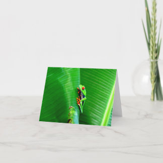Greetings from a red-eyed tree frog card