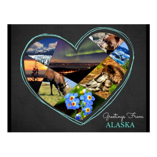 Greetings From Alaska ♥ Postcard