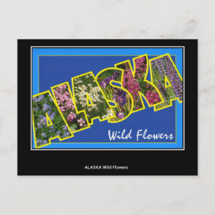 Greetings from Alaska Vintage Postcard