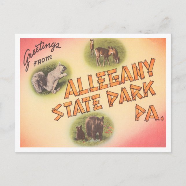 Greetings from Allegany State Park, Pennsylvania Postcard (Front)