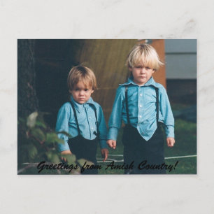 Greetings From Amish Country Postcard