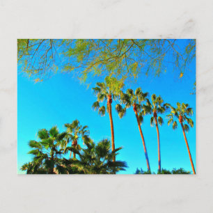 Greetings from Arizona! Post card. Postcard