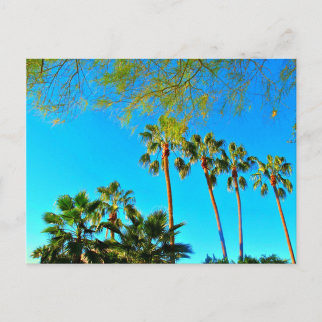 Greetings from Arizona! Post card. Postcard (Front)