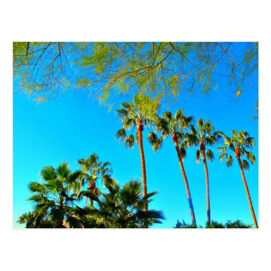Greetings from Arizona! Post card. Postcard
