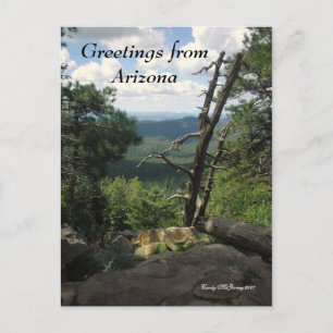 Greetings from Arizona Postcard
