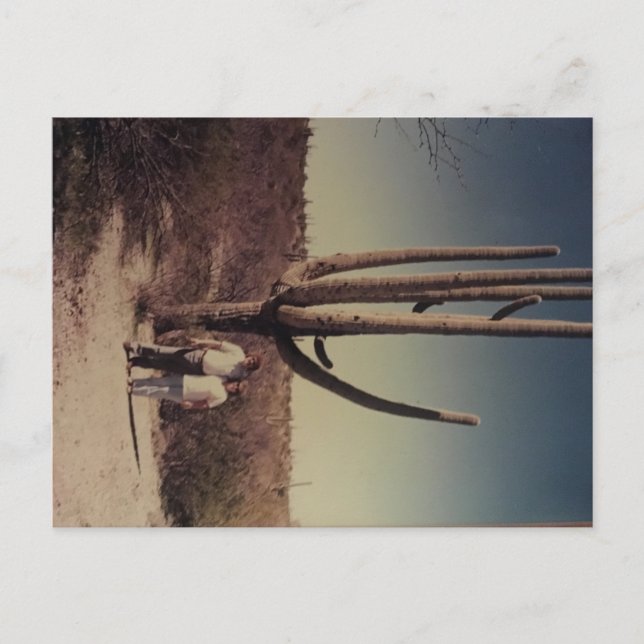 Greetings from Arizona postcard!!! Postcard (Front)