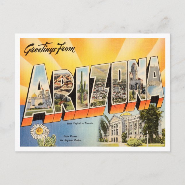 Greetings from Arizona Vintage Travel Postcard (Front)