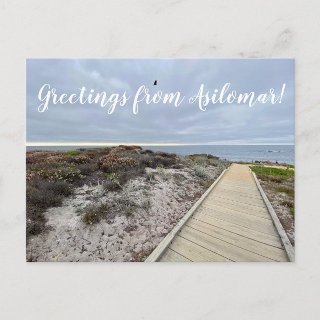 Greetings from Asilomar! Postcard (Front)