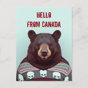 Greetings, from Bear Postcard