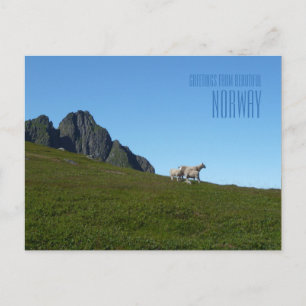 Greetings from beautiful Norway photo card