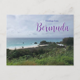 Greetings from Bermuda Postcard Beach