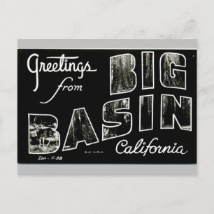 Greetings from Big Basin California vintage art Postcard
