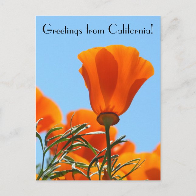 Greetings from California! Postcard (Front)