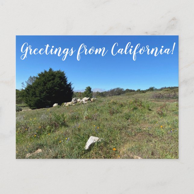 Greetings from California! Postcard (Front)