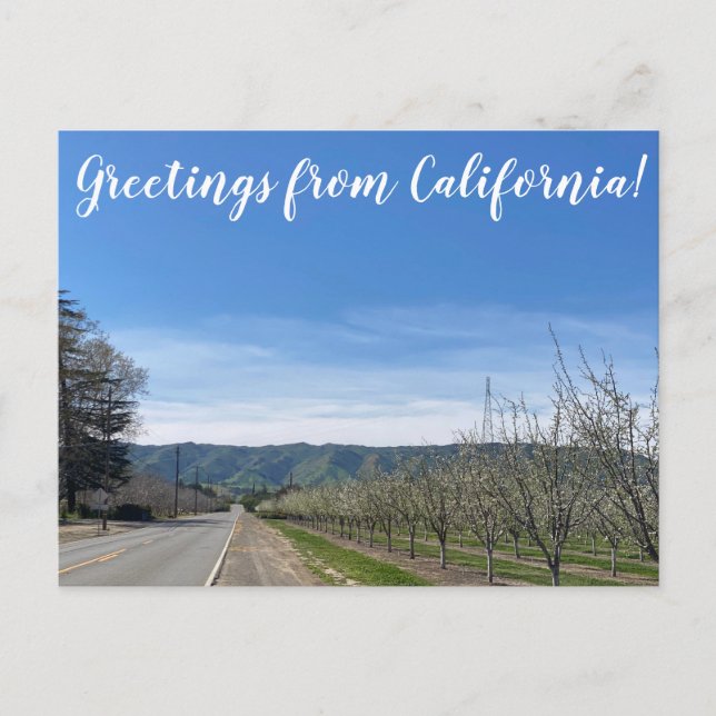 Greetings from California: Putah Creek Road Postcard (Front)
