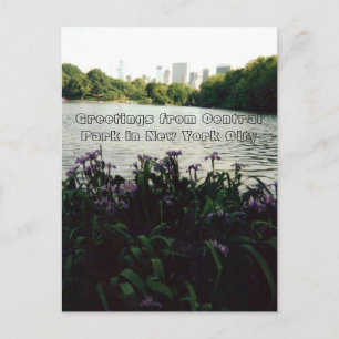 Greetings from Central Park in New York City Postcard