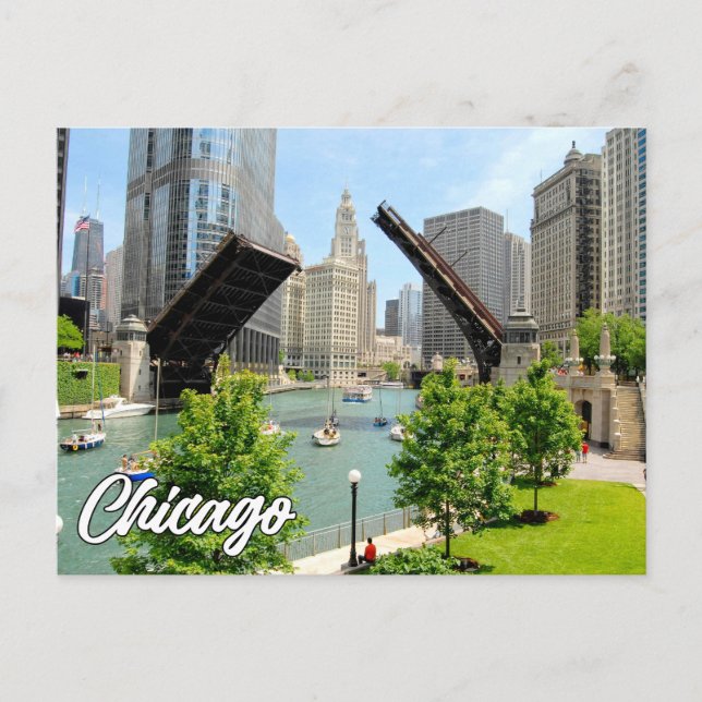 Greetings From Chicago, Illinois, USA Postcard (Front)