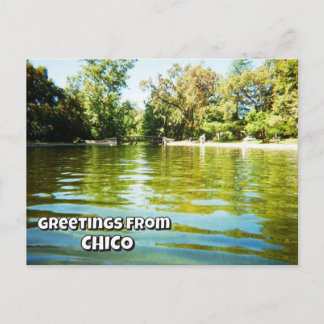 Greetings from Chico (you may change the words) Postcard