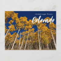 Greetings from Colorado Apen Trees Postcard