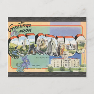 Greetings From Colorado, Vintage Postcard
