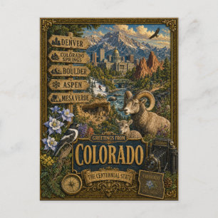 Greetings From Colorado   Vintage Retro Art Postcard